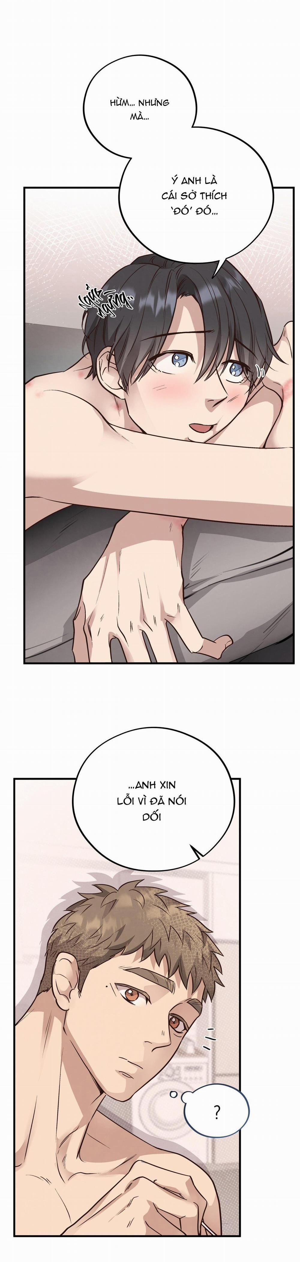 Honey Bear 43 trang 8