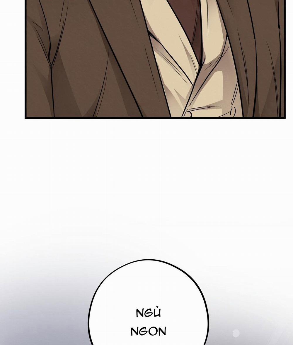 Honey Bear 44 trang 118