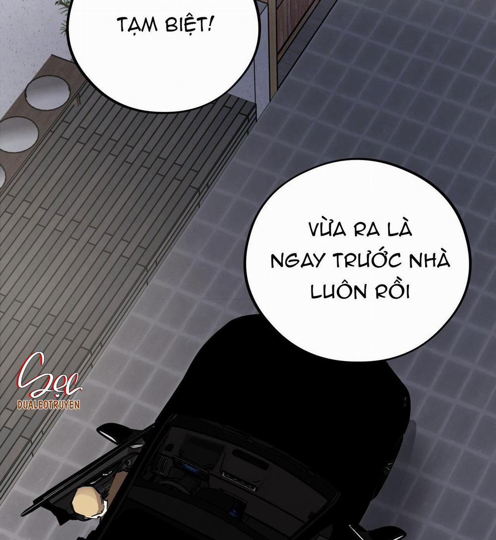 Honey Bear 44 trang 126