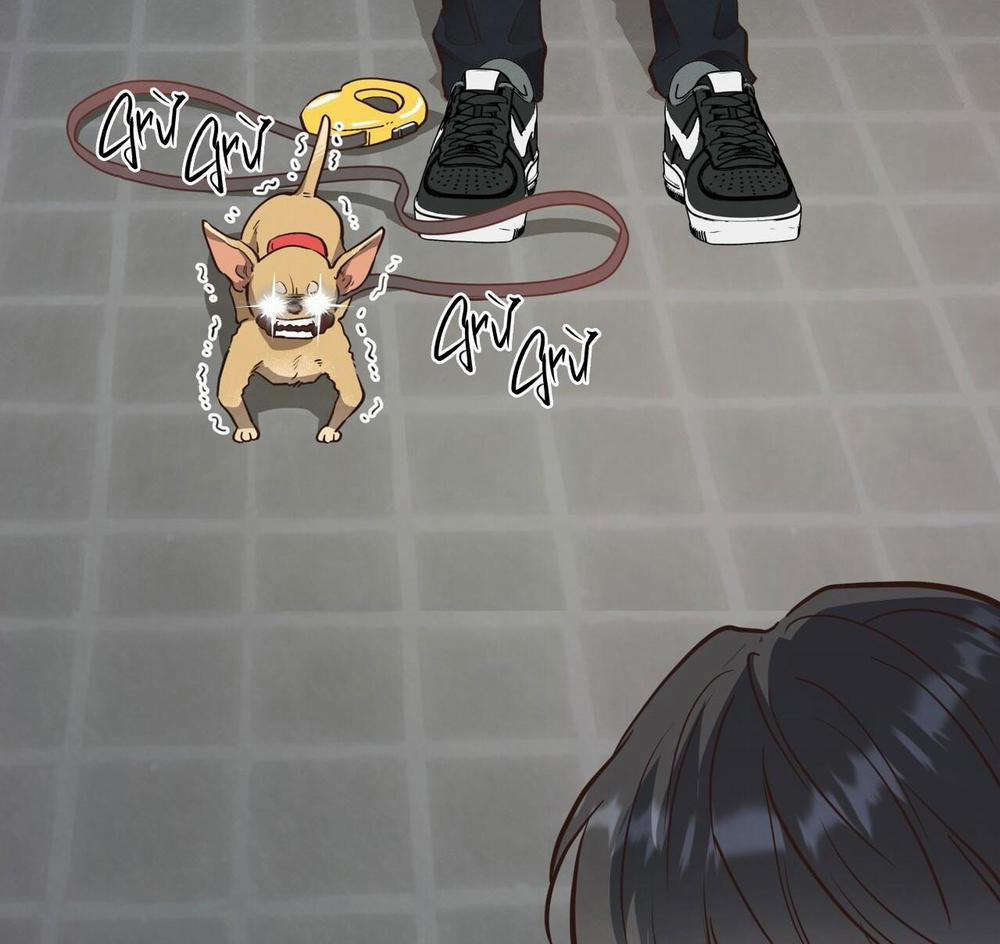 Honey Bear 44 trang 134