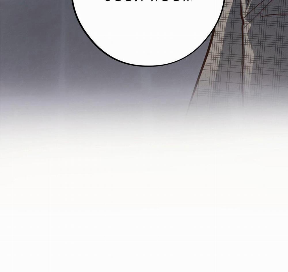 Honey Bear 44 trang 136