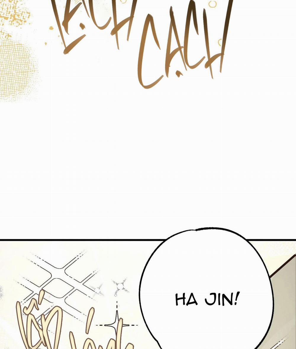 Honey Bear 44 trang 4