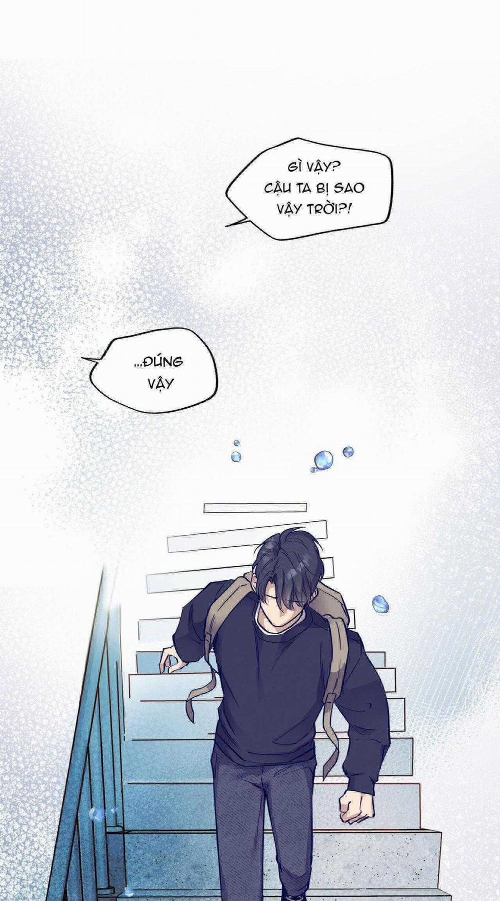 Honey Bear 45 trang 72