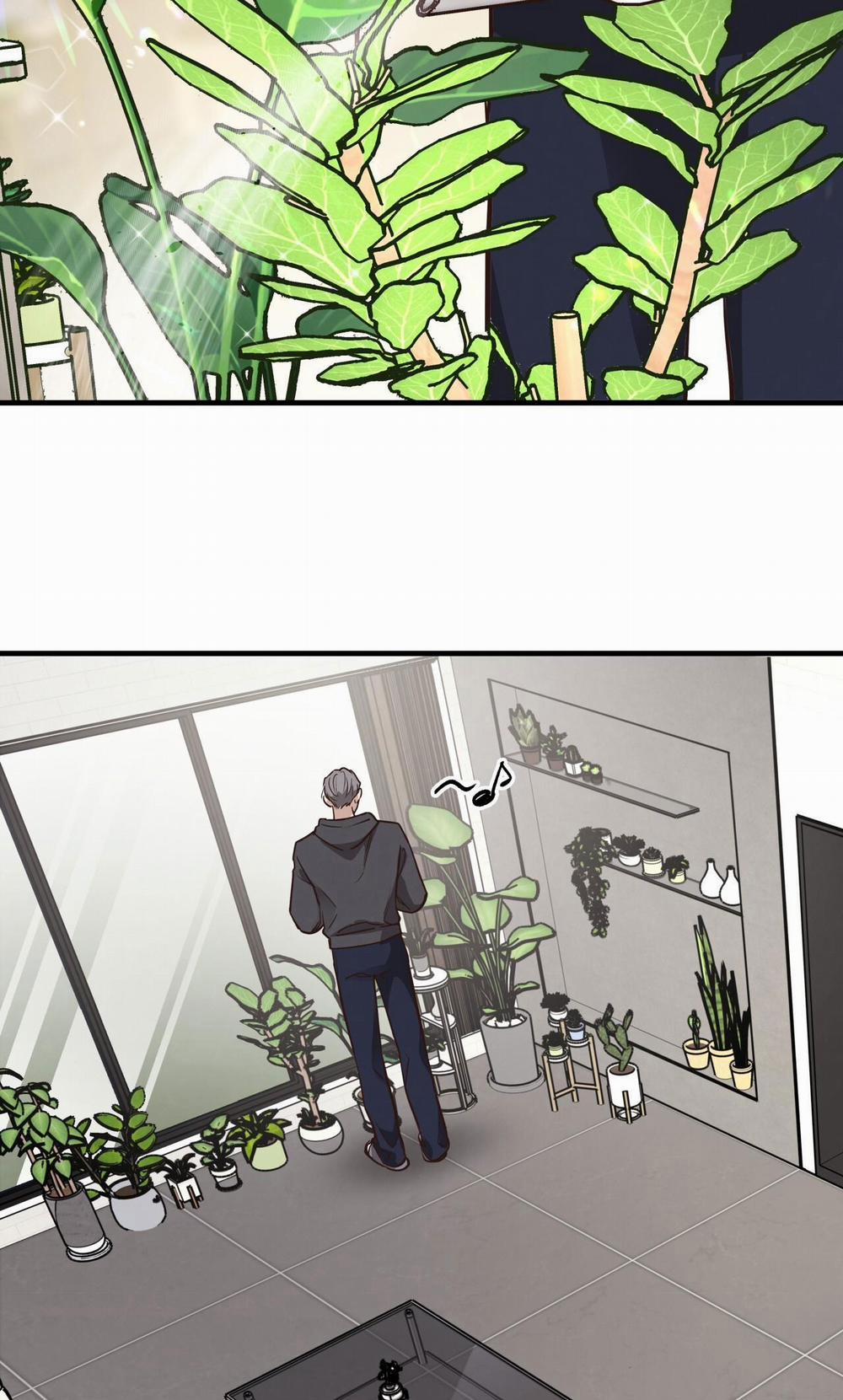 Honey Bear 46 trang 23