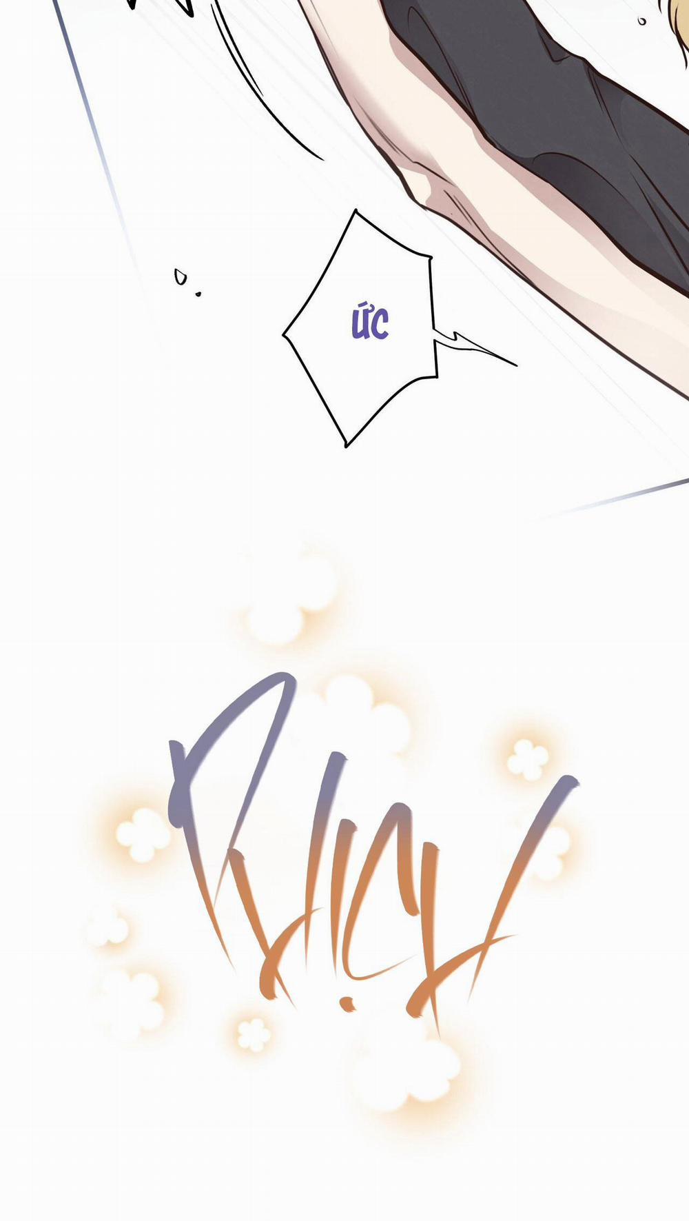 Honey Bear 46 trang 46