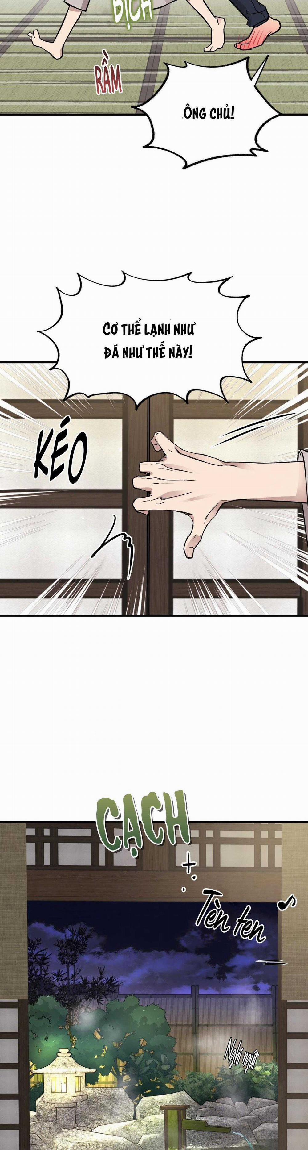 Honey Bear 48 trang 14