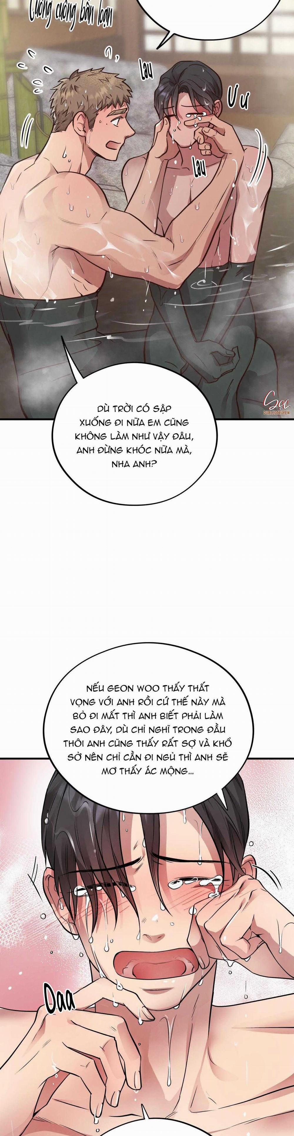 Honey Bear 48 trang 31