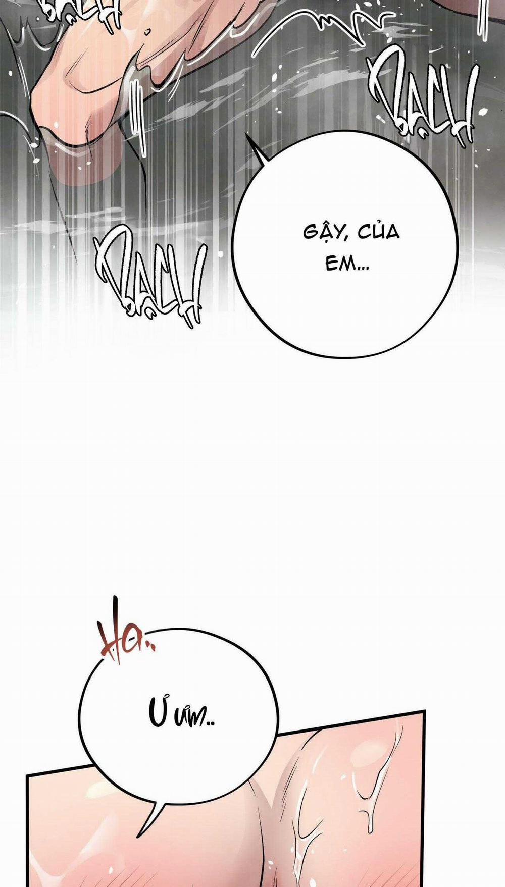 Honey Bear 49 trang 72