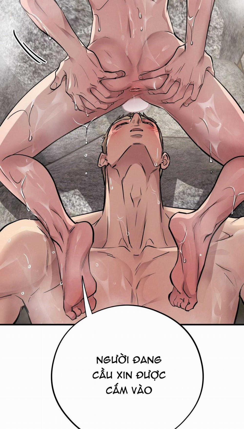 Honey Bear 49 trang 77