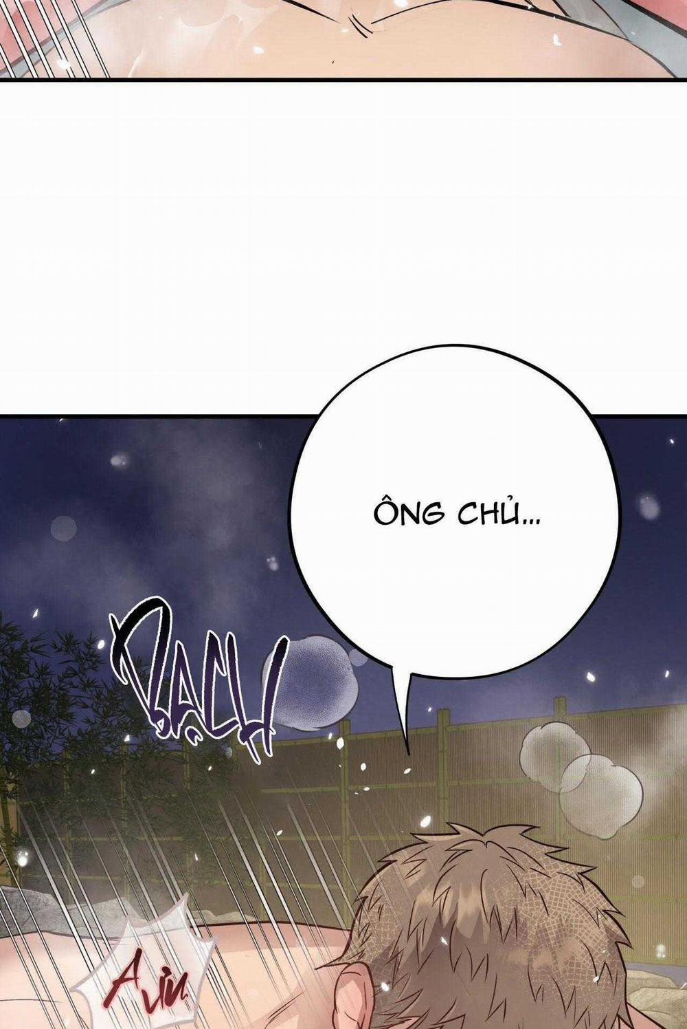 Honey Bear 50 trang 4