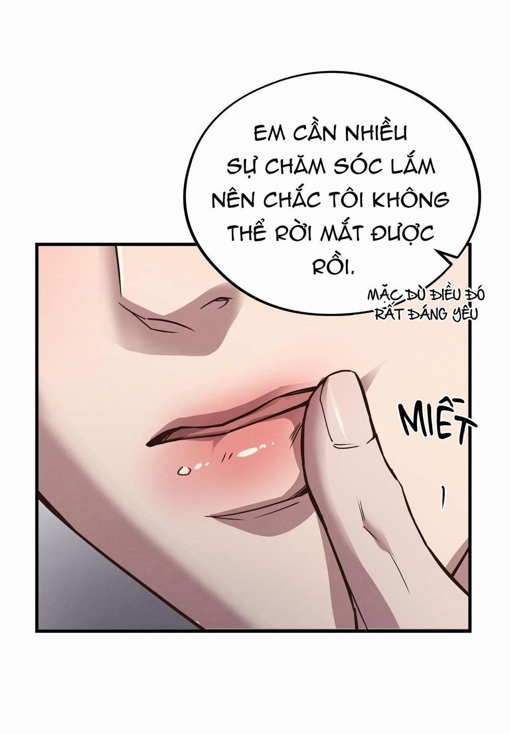 Honey Bear 51 trang 18