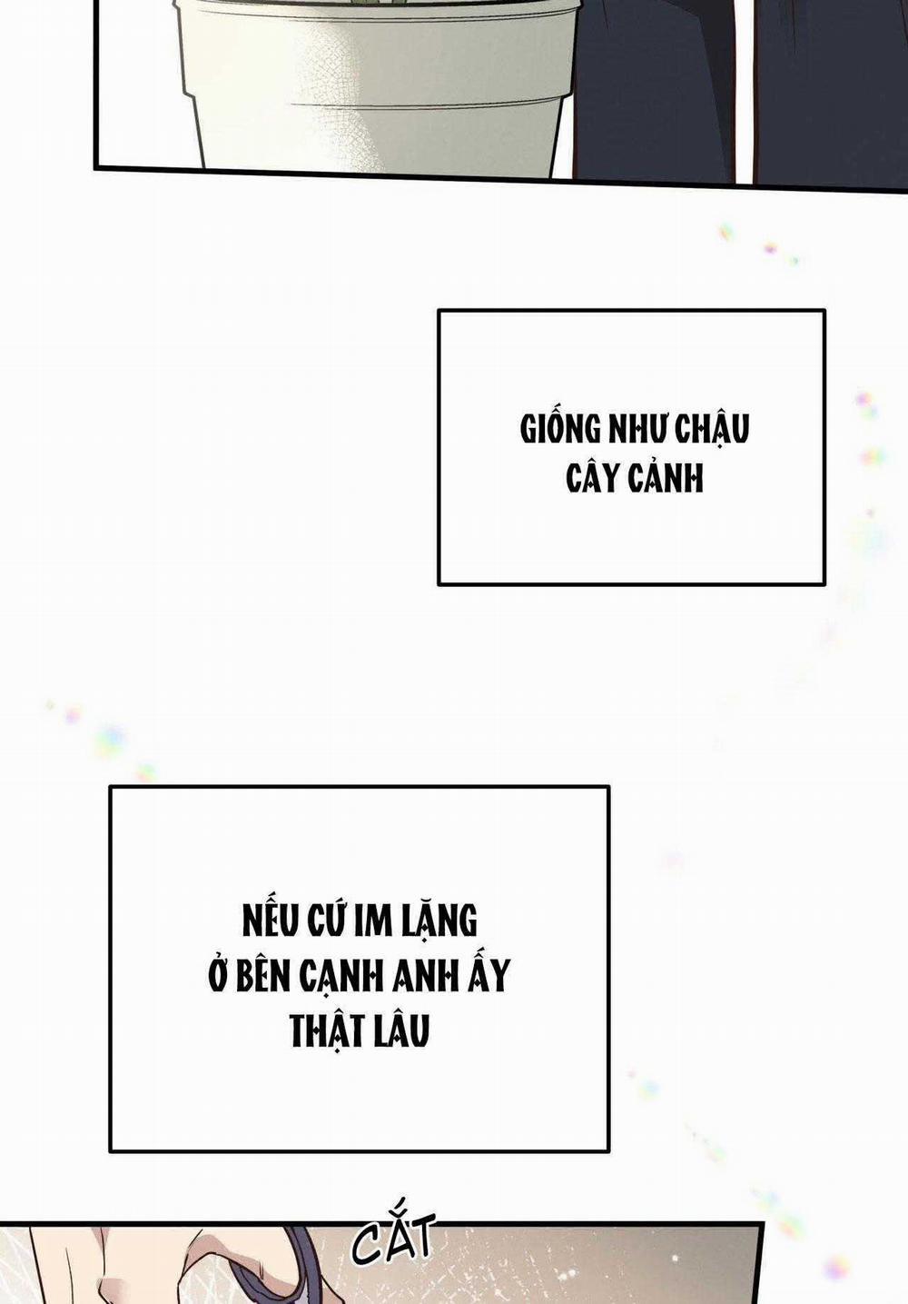 Honey Bear 52 trang 2