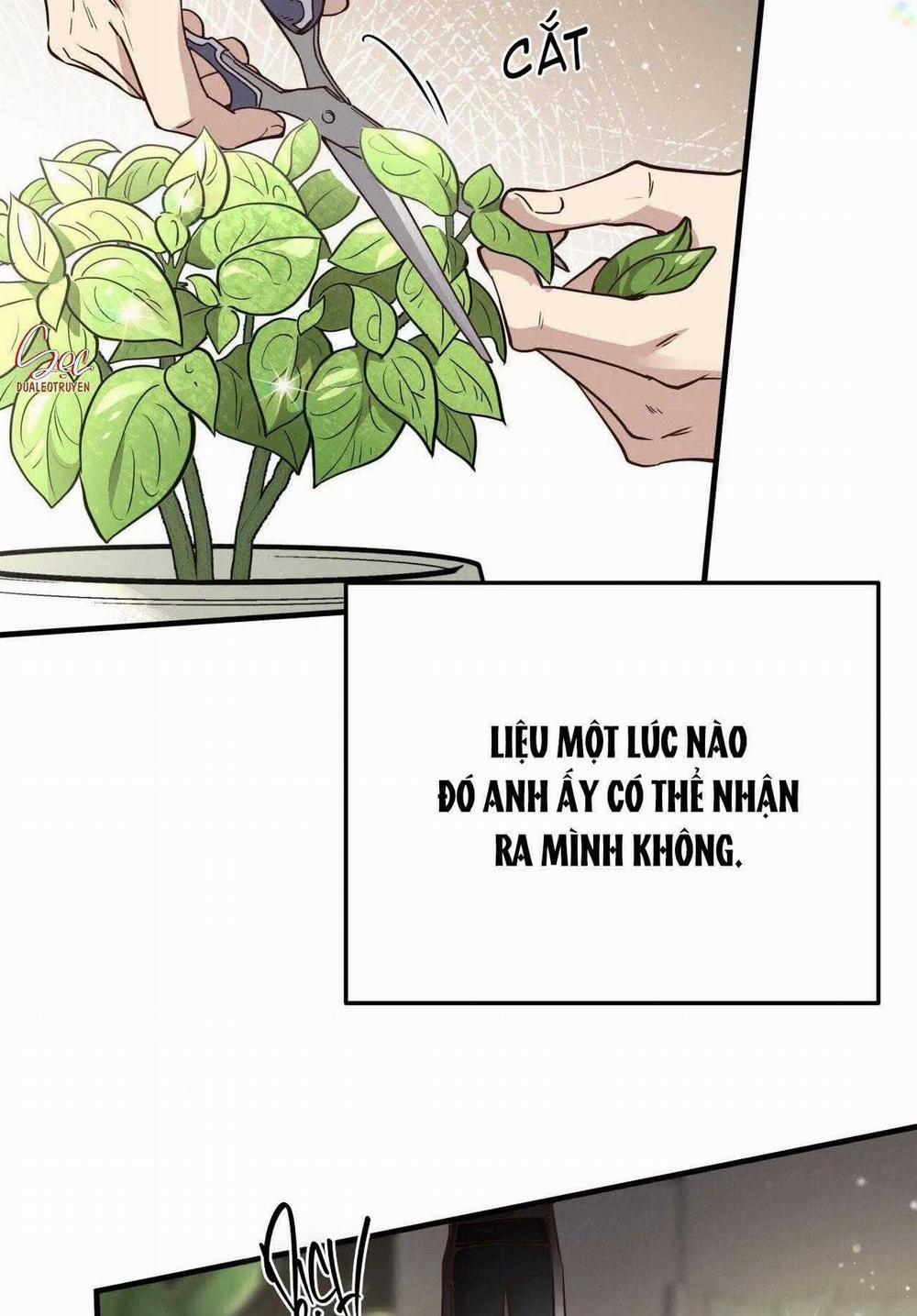 Honey Bear 52 trang 3