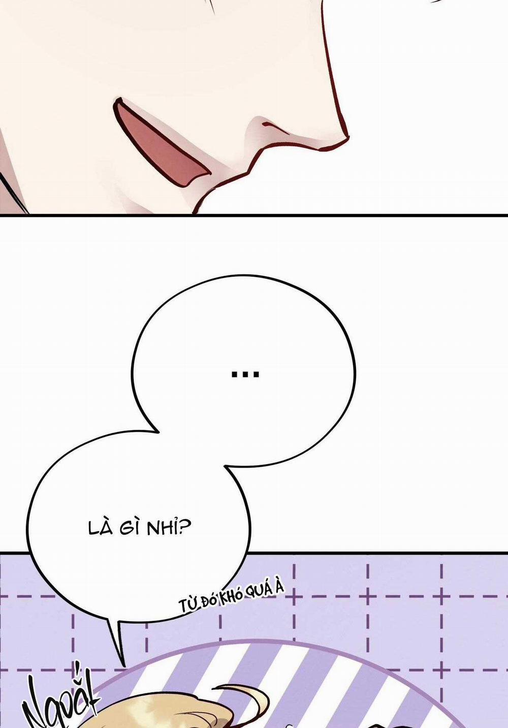 Honey Bear 53 trang 16