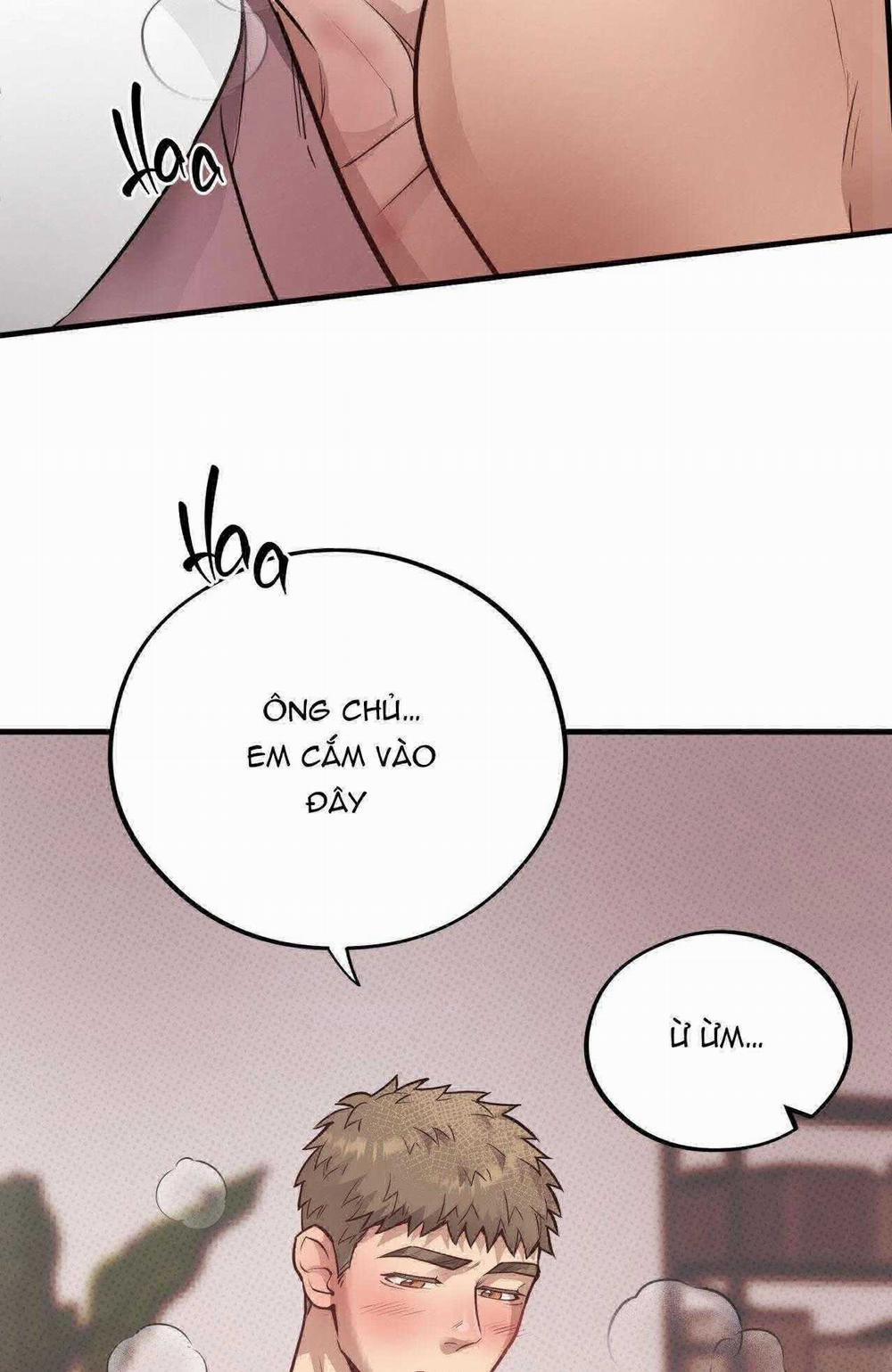 Honey Bear 53 trang 71