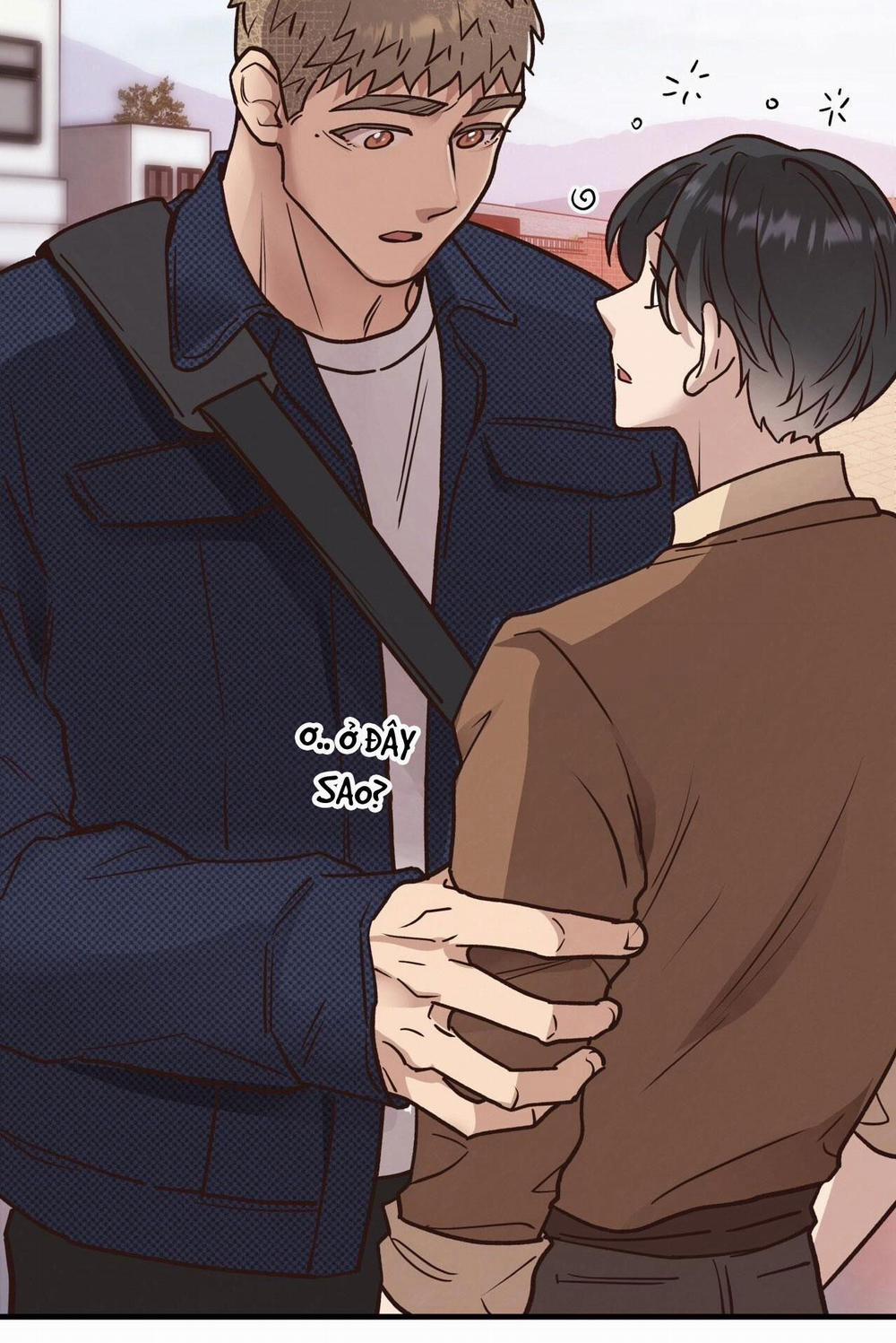 Honey Bear 54 trang 5