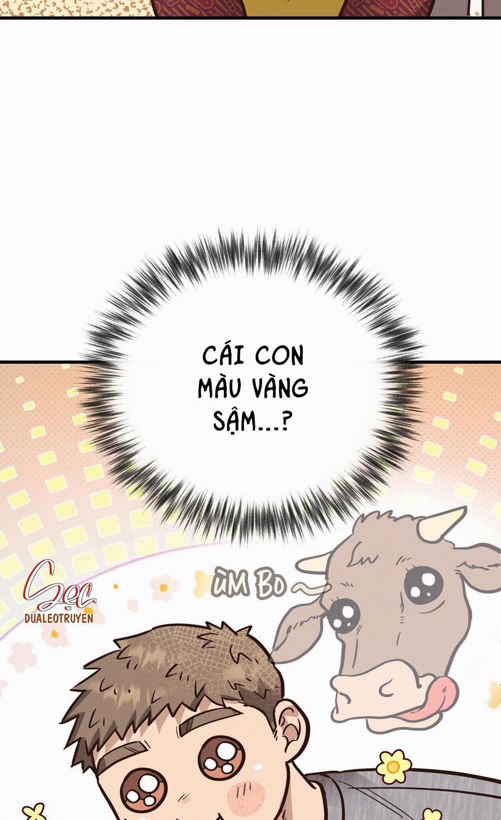 Honey Bear 54 trang 98