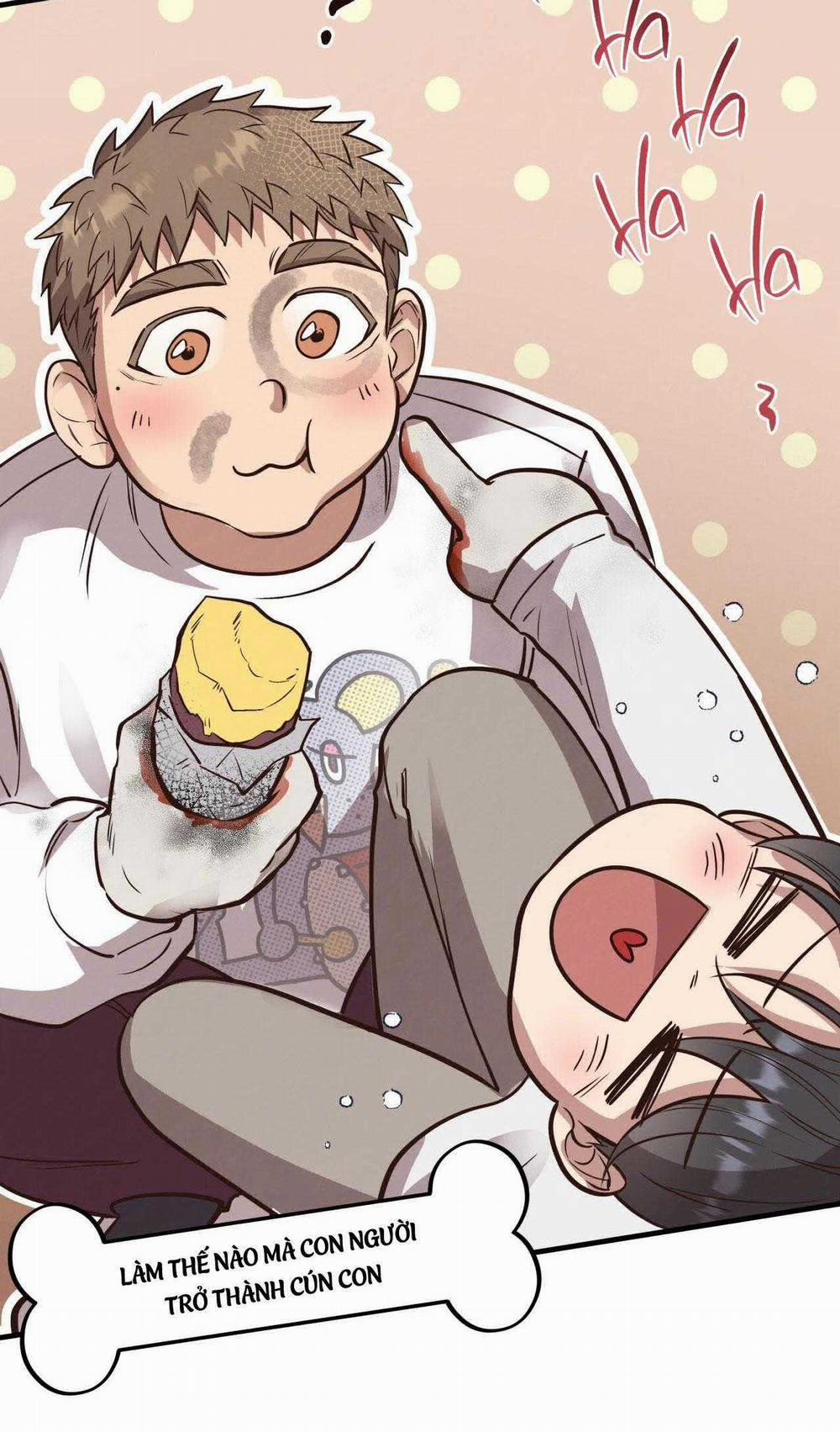 Honey Bear 55 trang 22