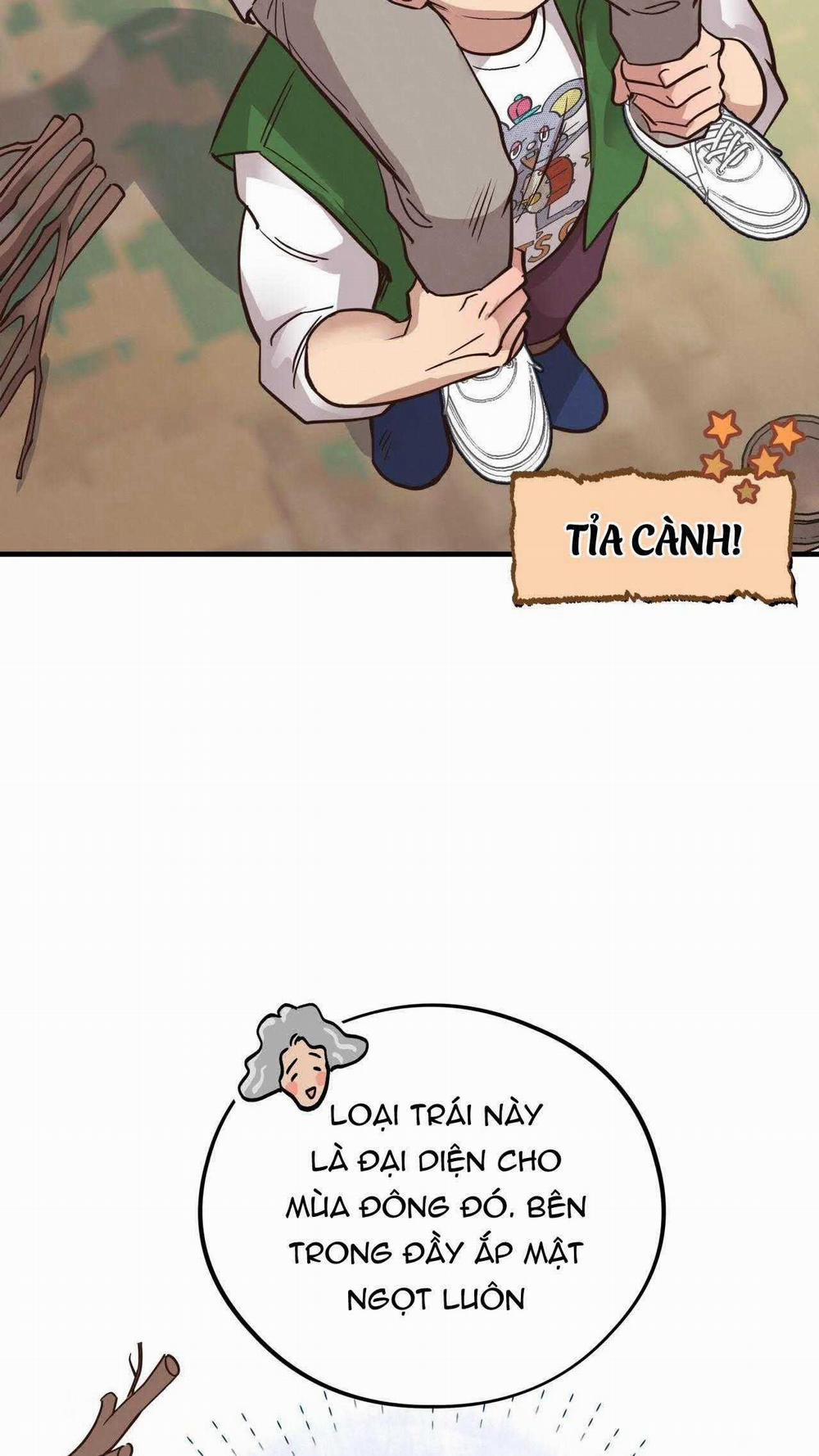 Honey Bear 55 trang 7