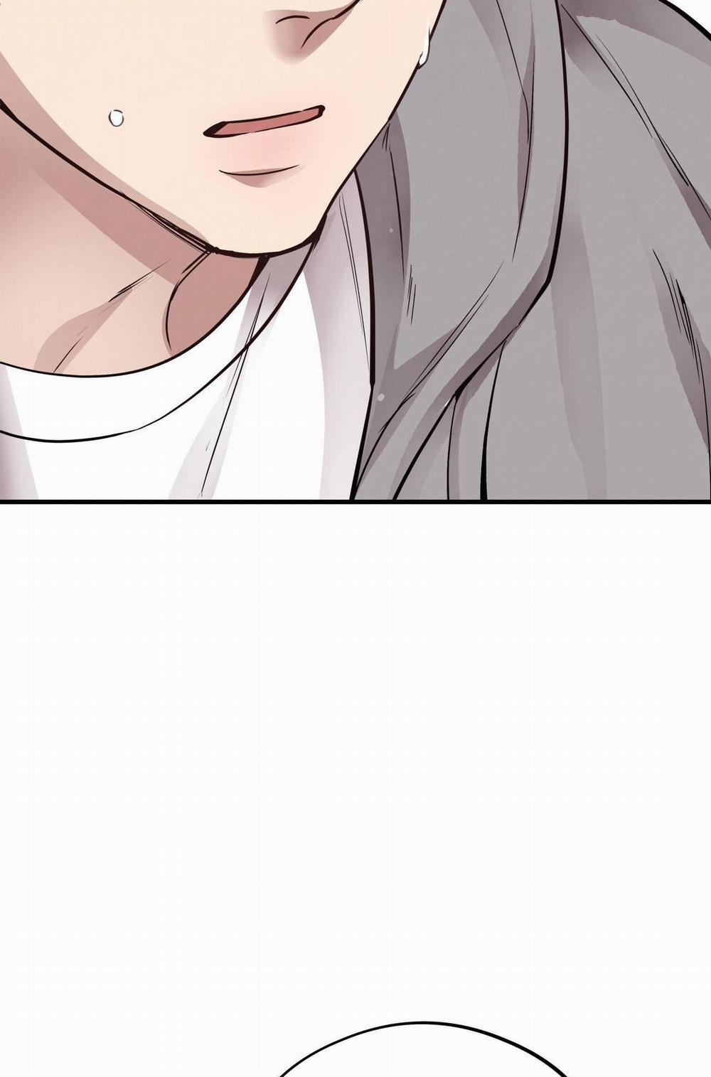 Honey Bear 56 trang 101