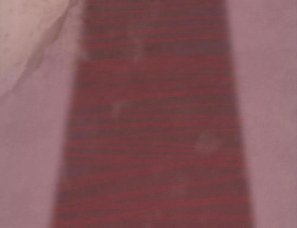 Honey Bear 56 trang 126