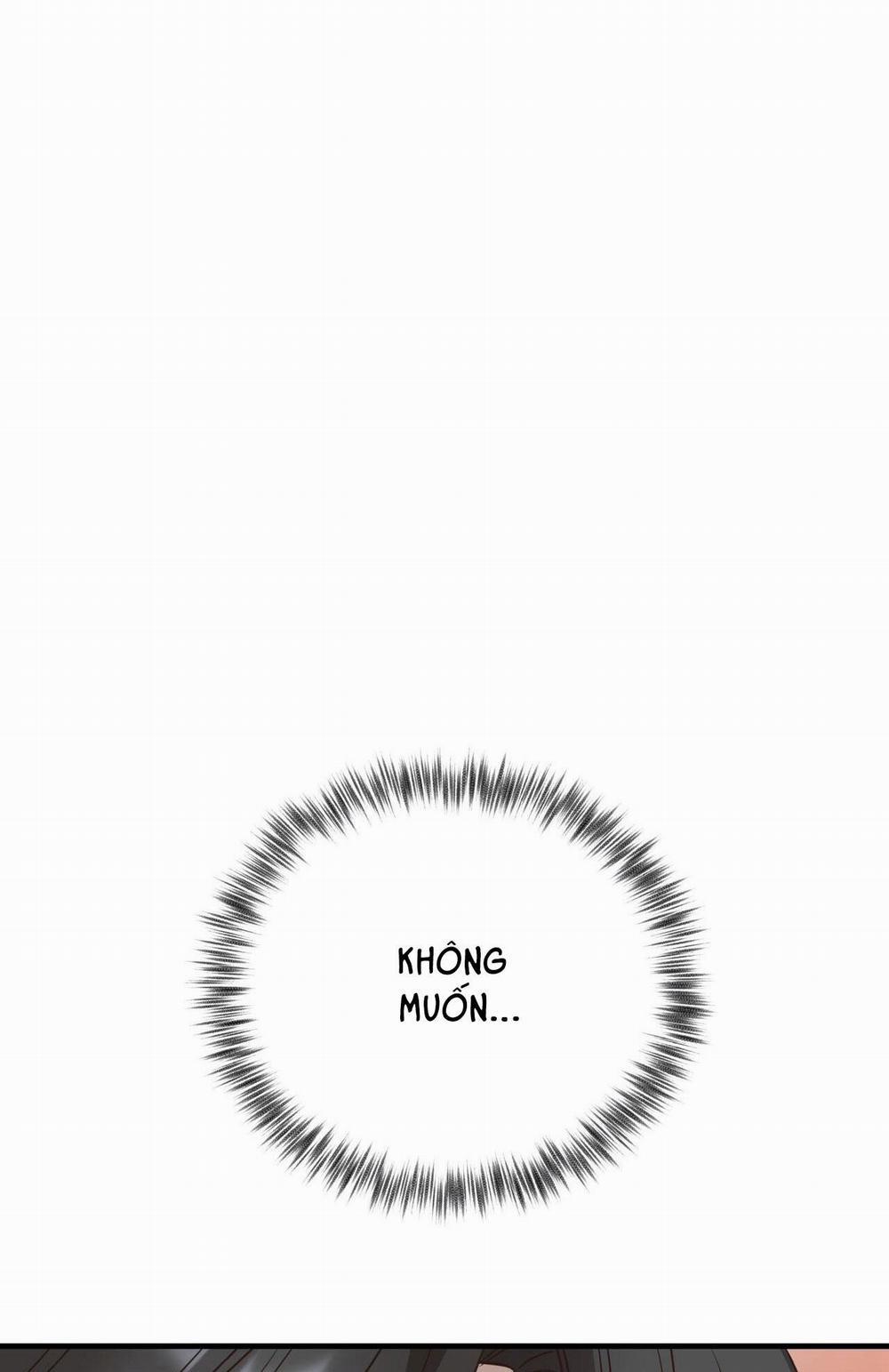 Honey Bear 56 trang 48