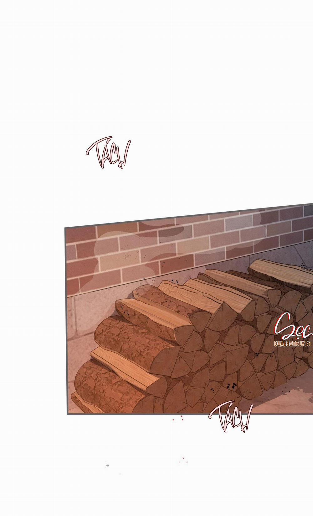 Honey Bear 56 trang 78