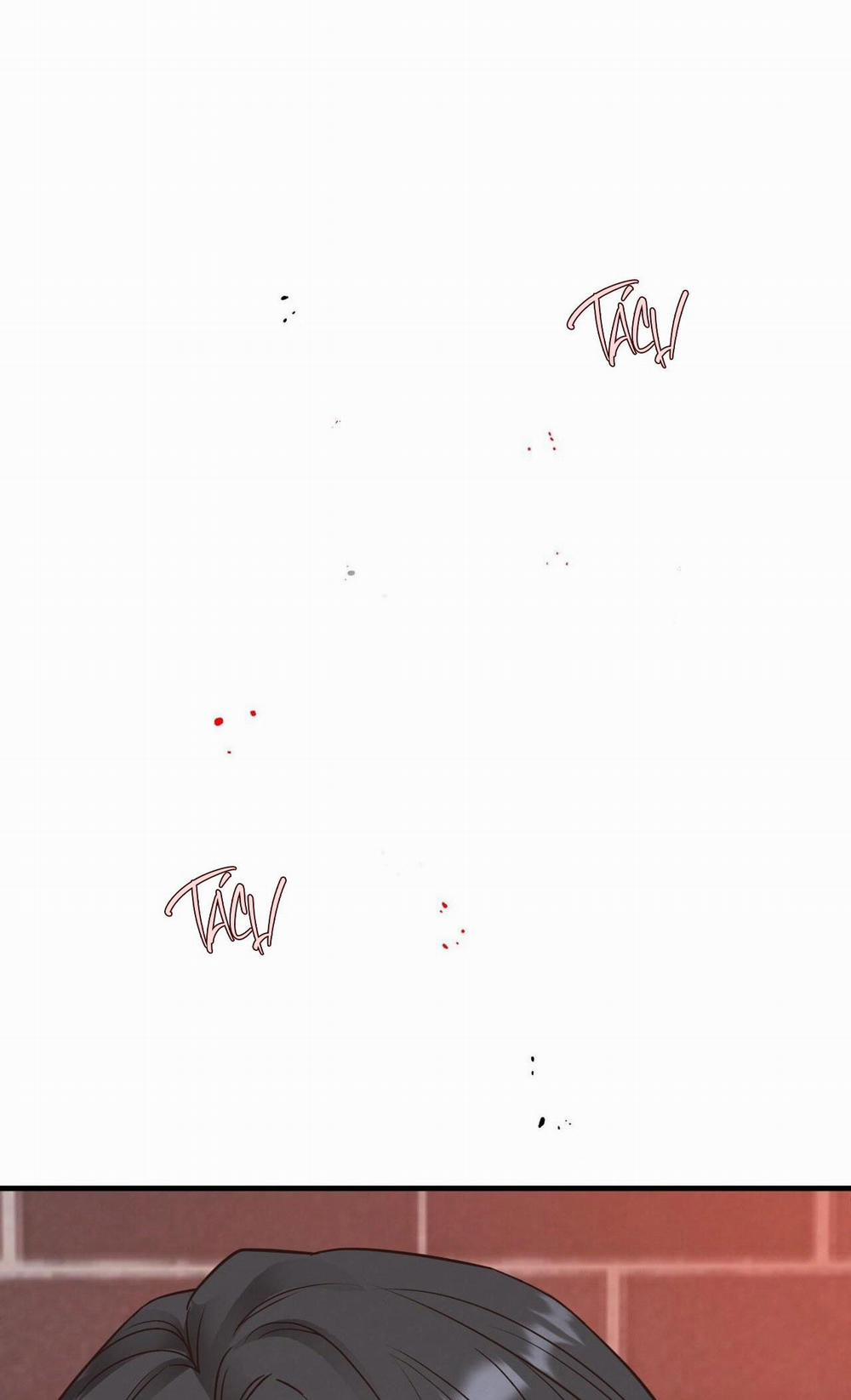 Honey Bear 56 trang 82