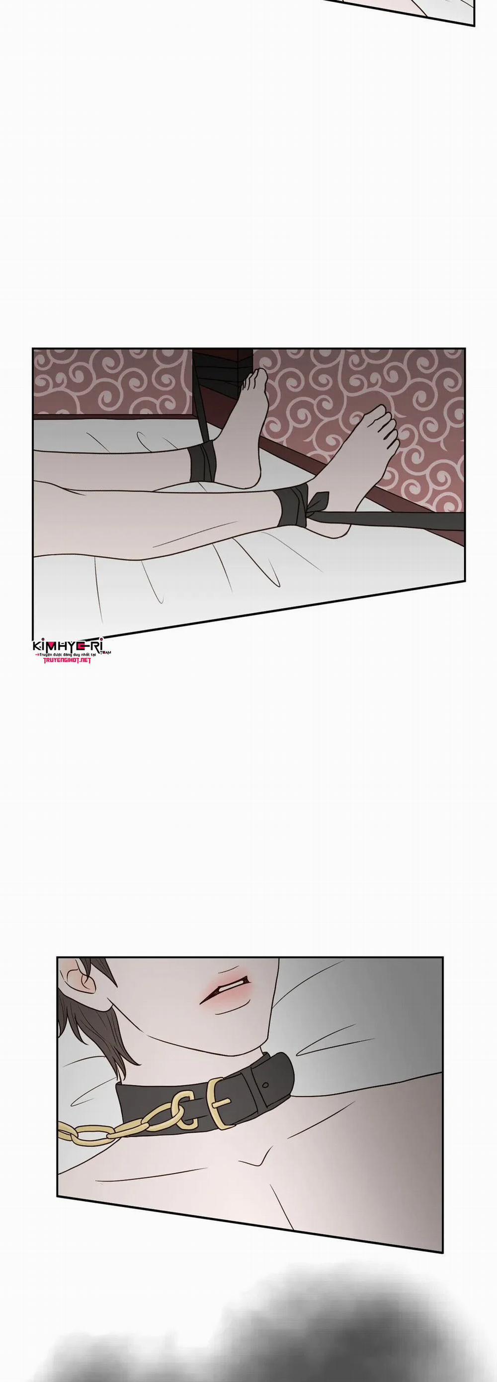 Honey Bed Talk 13 trang 28