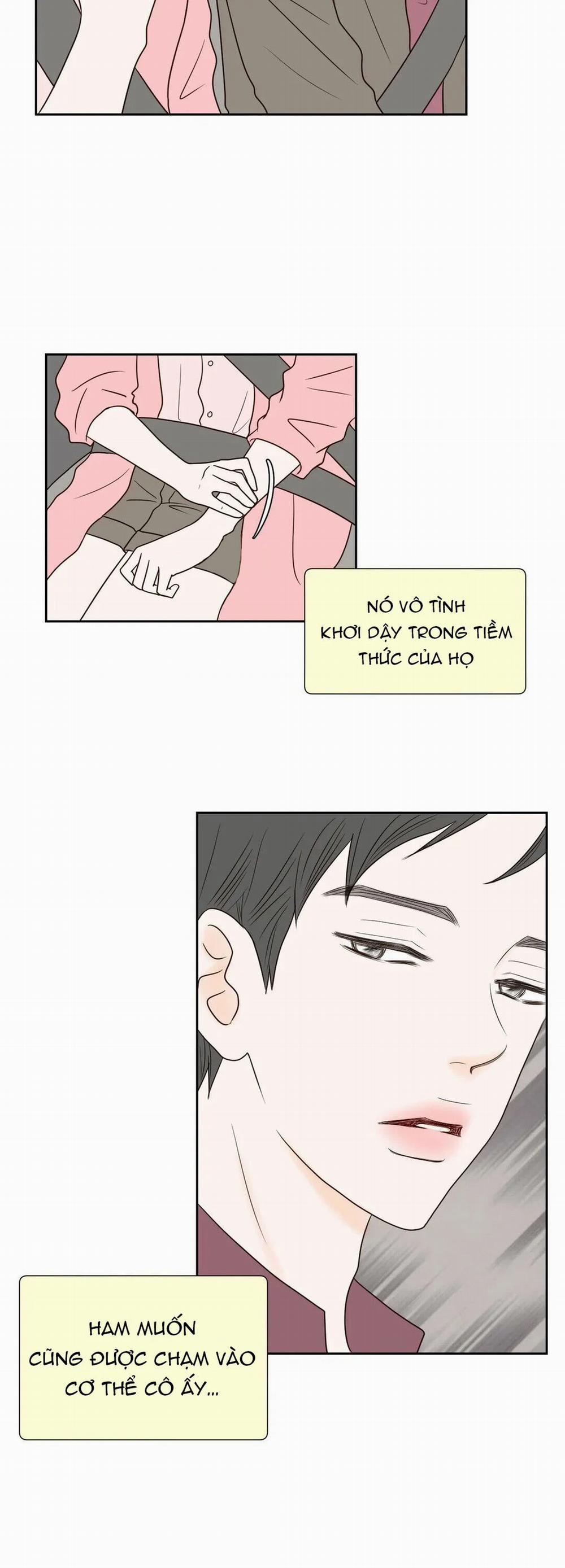 Honey Bed Talk 19 trang 42