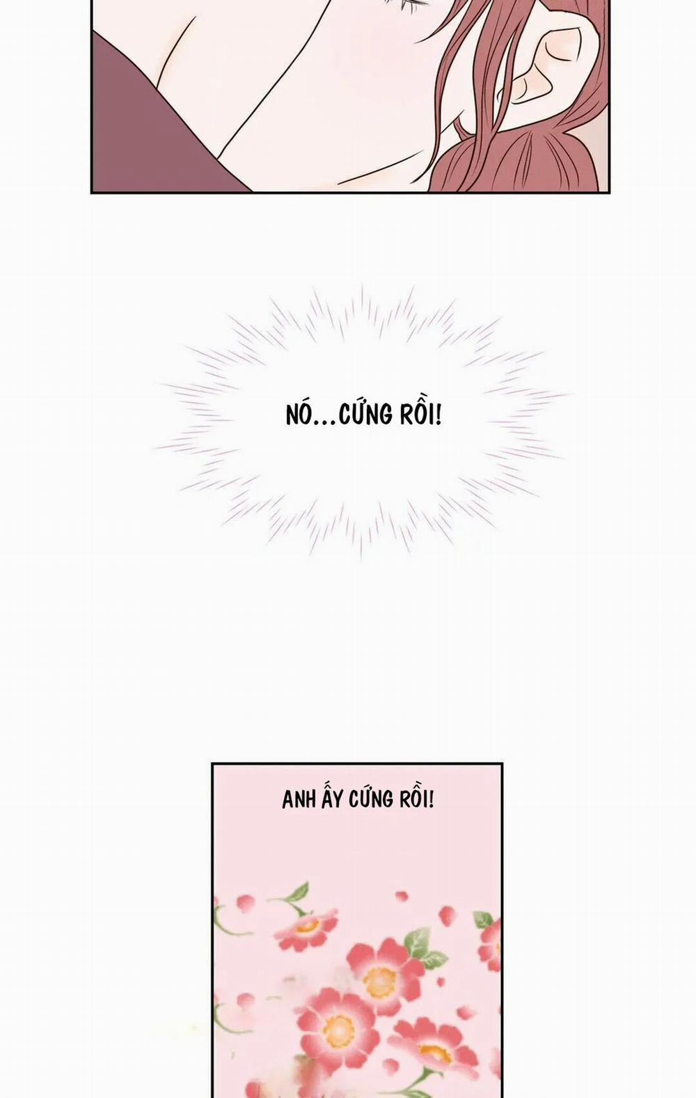 Honey Bed Talk 20 trang 31