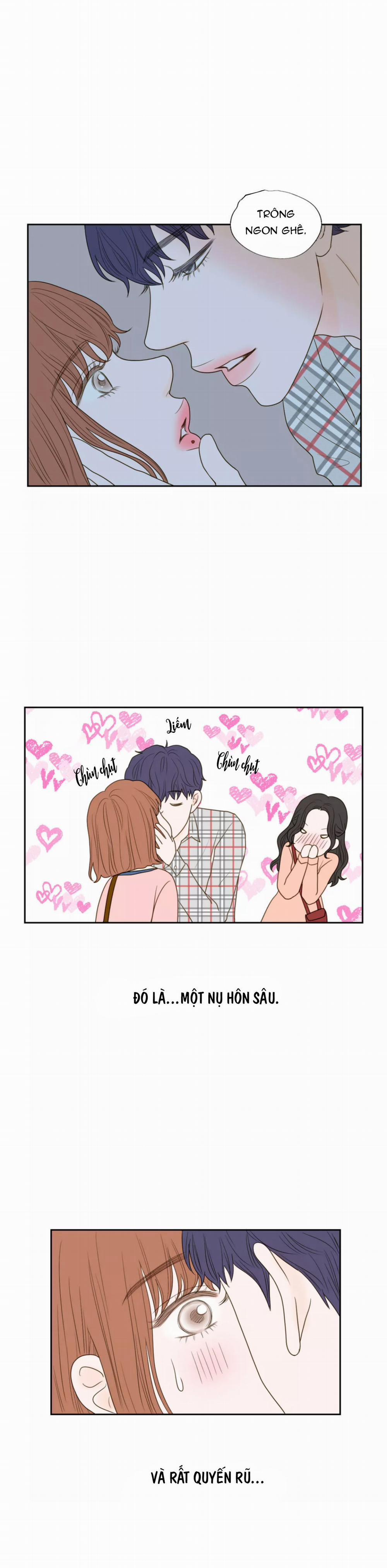 Honey Bed Talk 41 trang 0