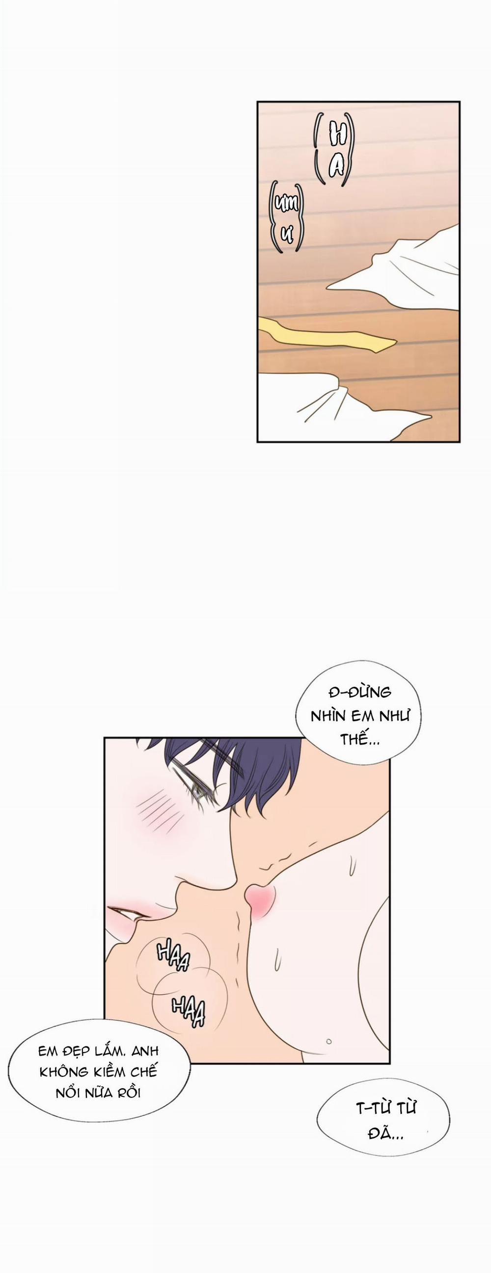 Honey Bed Talk 42 trang 19