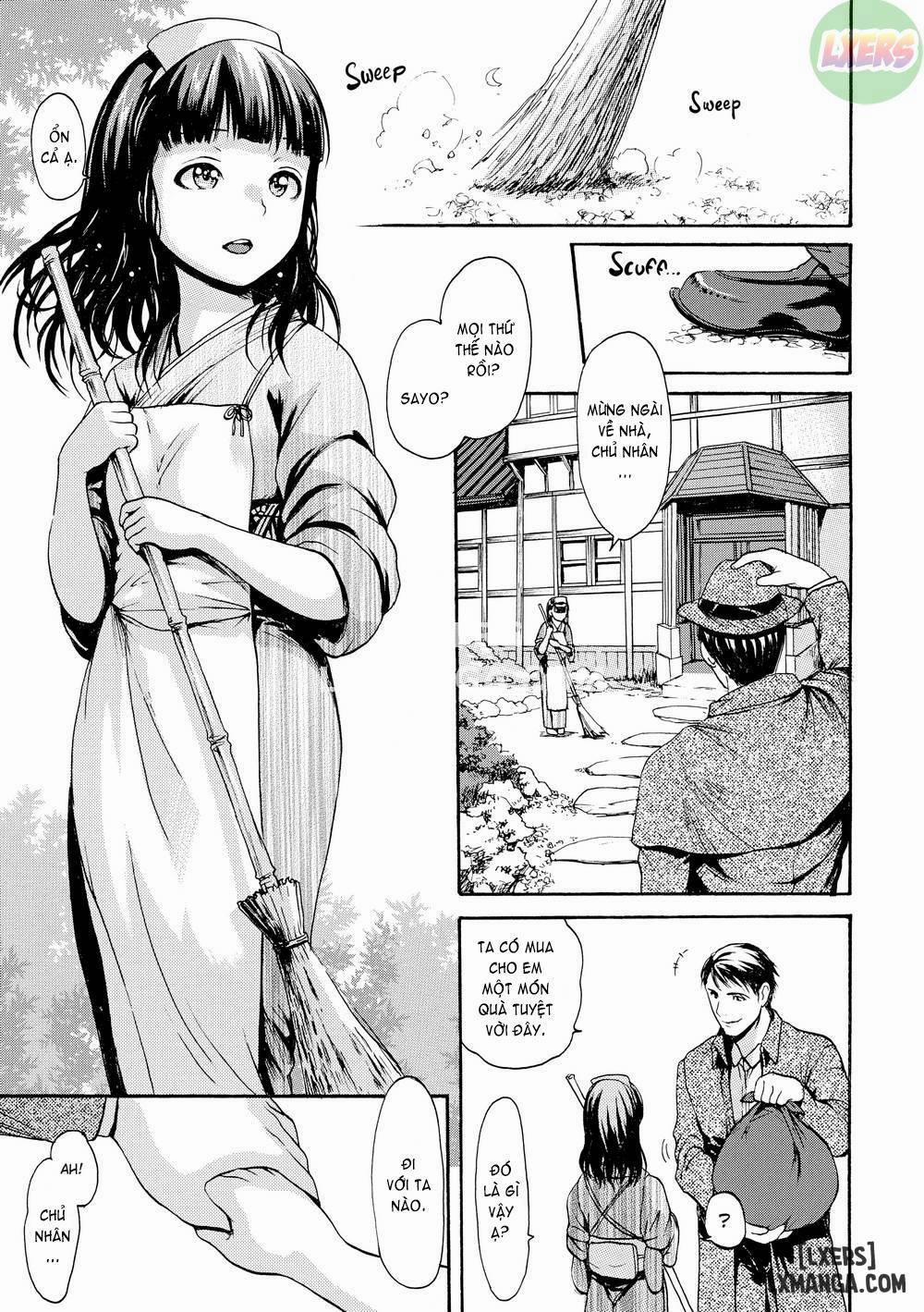 Honey Pot Style 5 trang 3