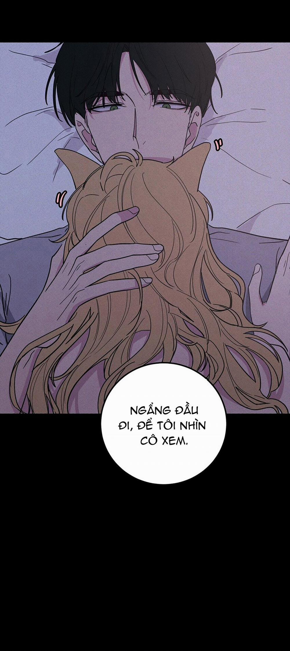 Hộp Bánh Quy Định Mệnh (END) 10 trang 17