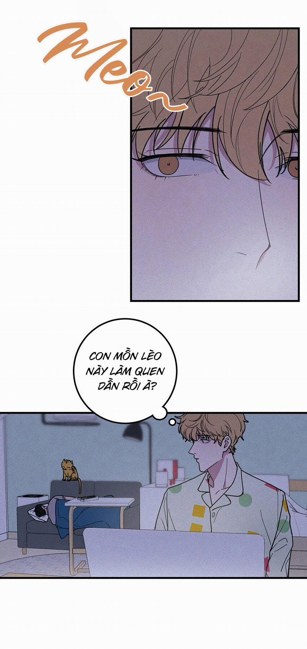 Hộp Bánh Quy Định Mệnh (END) 10 trang 3