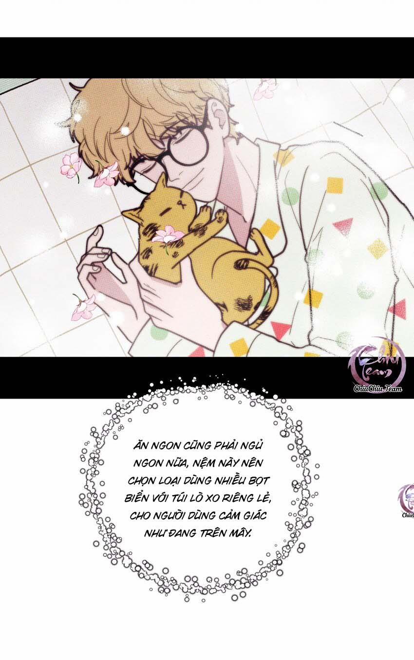 Hộp Bánh Quy Định Mệnh (END) 13 trang 13