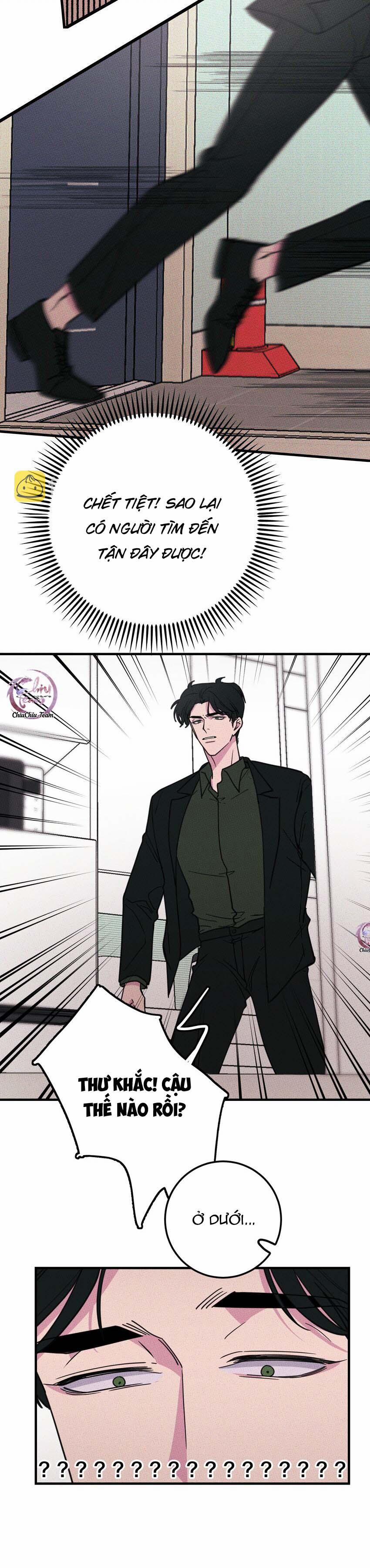 Hộp Bánh Quy Định Mệnh (END) 13 trang 3