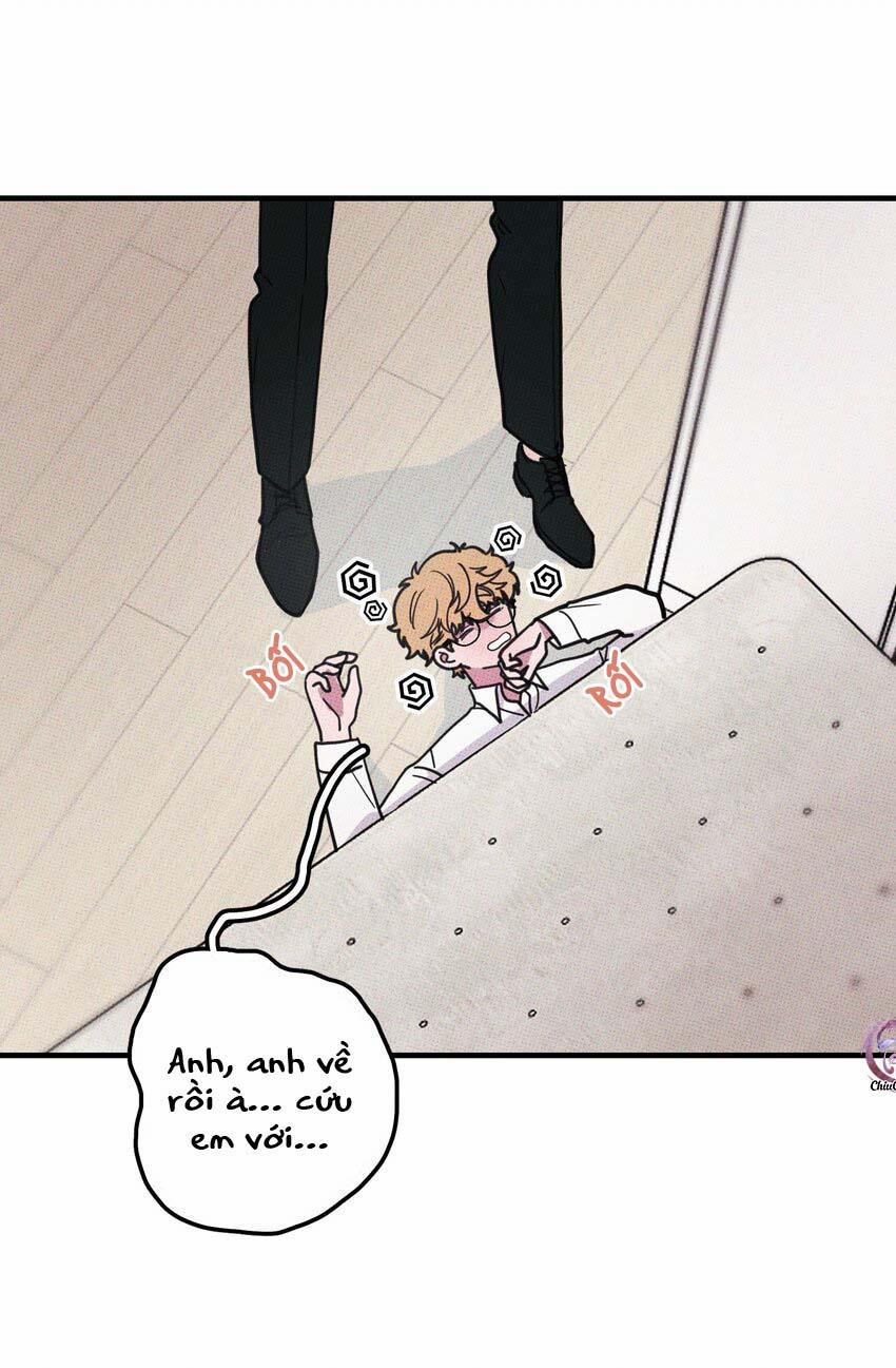 Hộp Bánh Quy Định Mệnh (END) 13 trang 4