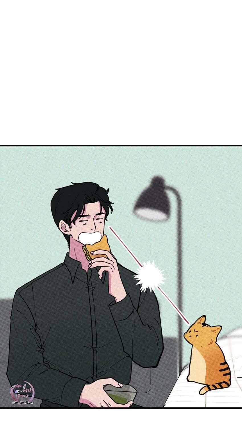 Hộp Bánh Quy Định Mệnh (END) 17 trang 12