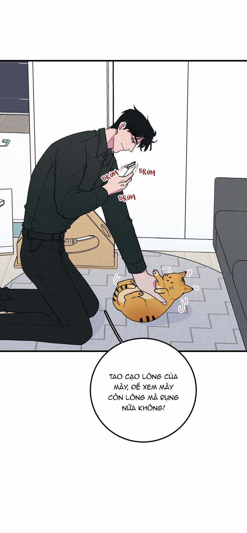 Hộp Bánh Quy Định Mệnh (END) 17 trang 4