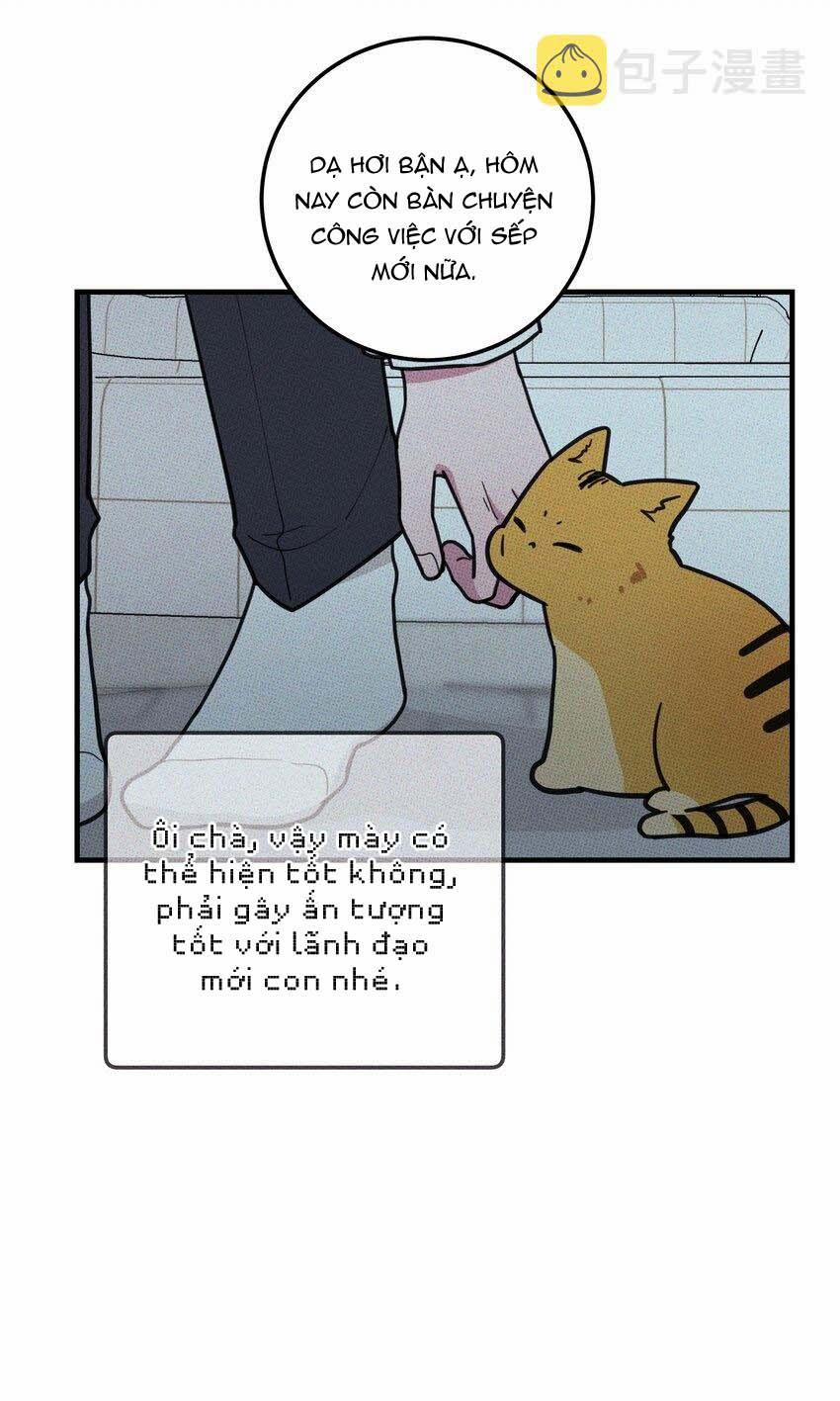 Hộp Bánh Quy Định Mệnh (END) 18 trang 36