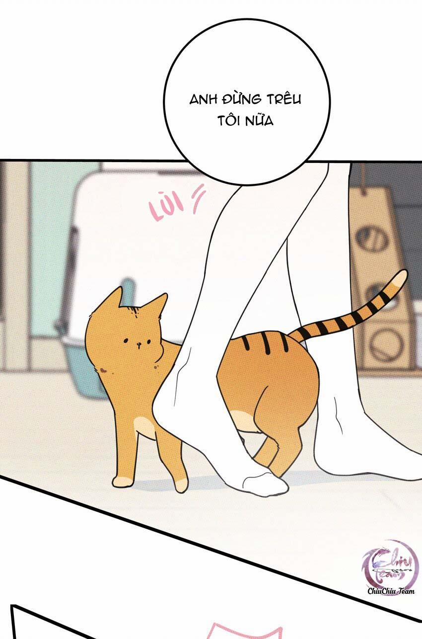 Hộp Bánh Quy Định Mệnh (END) 21 trang 16