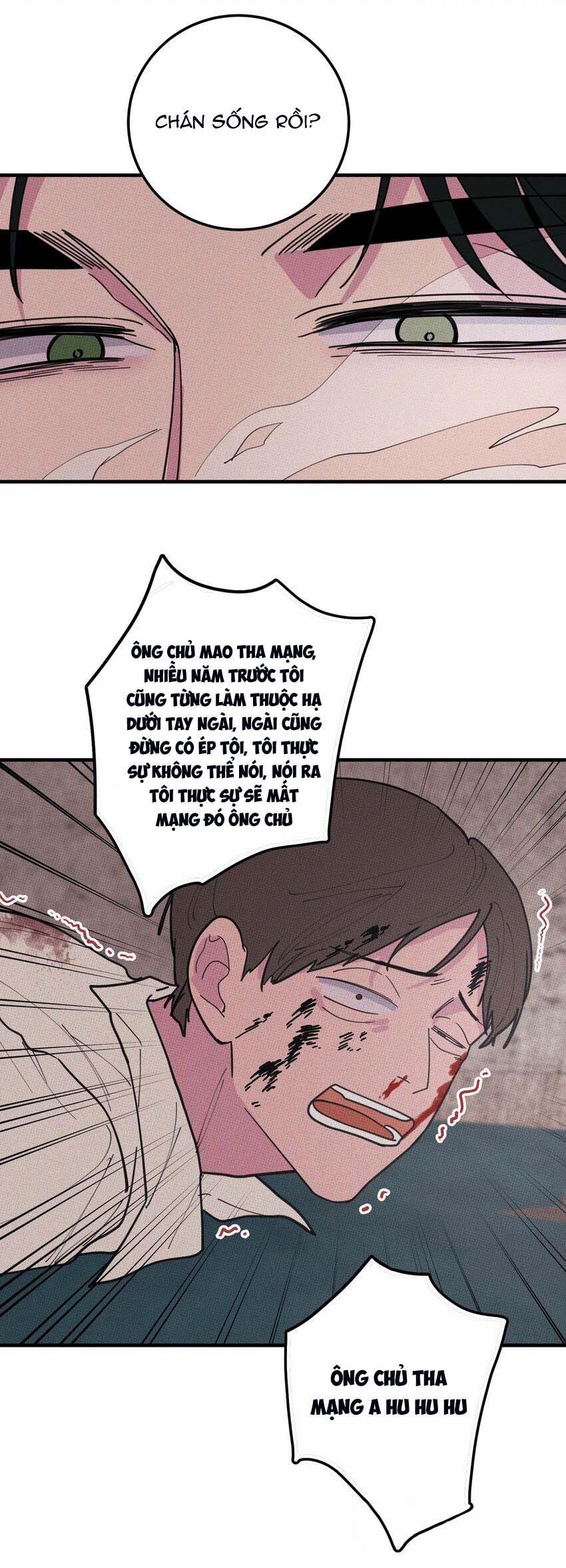 Hộp Bánh Quy Định Mệnh (END) 23 trang 21