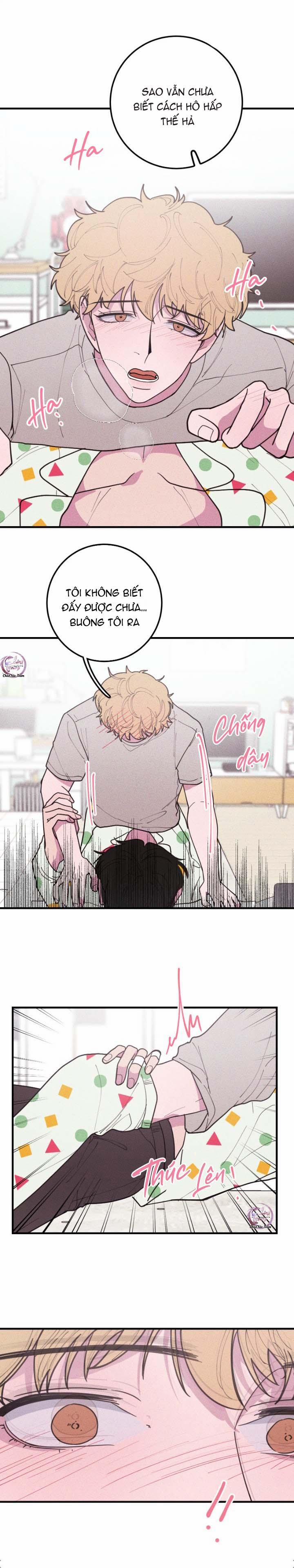 Hộp Bánh Quy Định Mệnh (END) 33 0 ĐÁ LƯỠI 0 trang 6