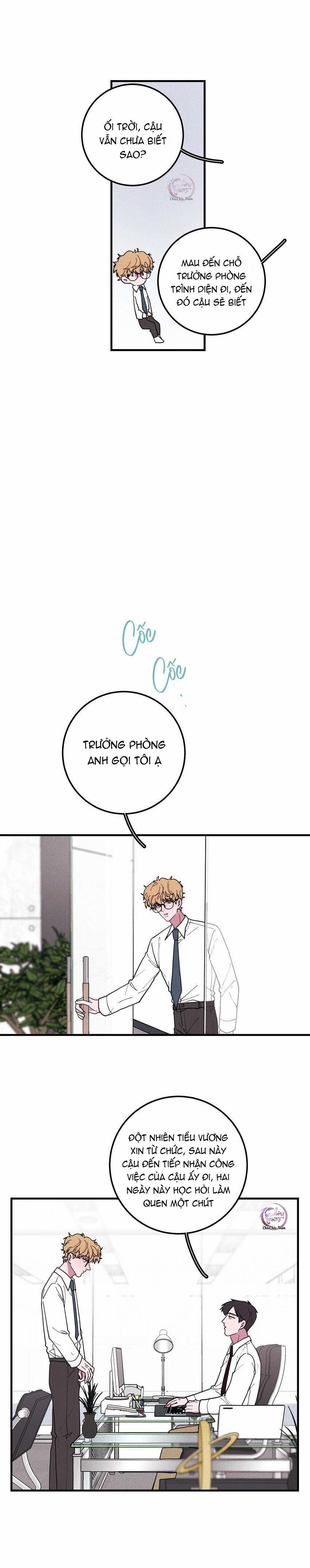 Hộp Bánh Quy Định Mệnh (END) 40 trang 11