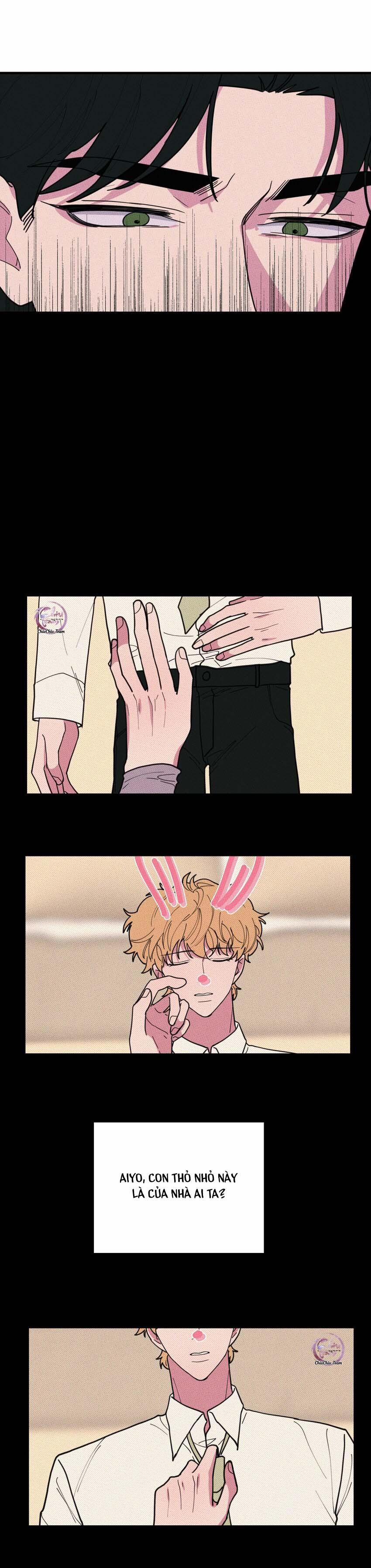 Hộp Bánh Quy Định Mệnh (END) 45 trang 12