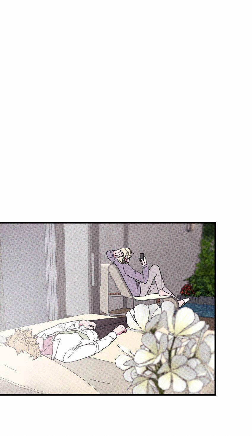 Hộp Bánh Quy Định Mệnh (END) 46 trang 13