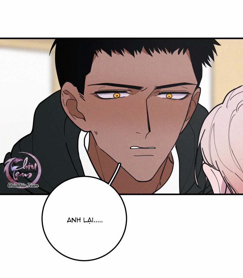 Hộp Bánh Quy Định Mệnh (END) 48 trang 10