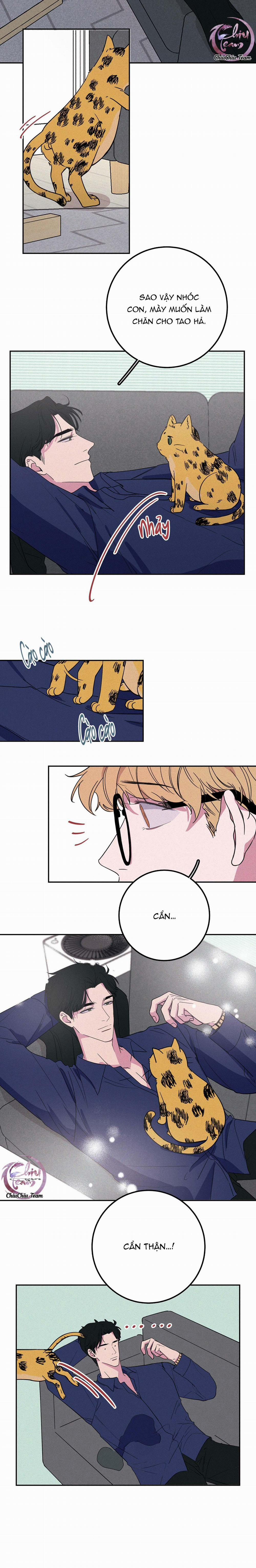 Hộp Bánh Quy Định Mệnh (END) 5 trang 9